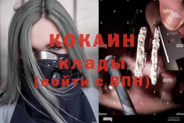 спайс Алзамай